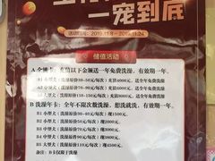 -宠福鑫康馨动物医院·骨科·眼科