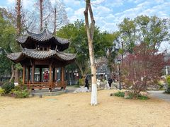 -墨池公园