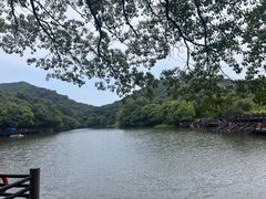 -白马涧龙池景区