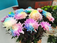 -陶然亭公园