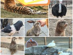 -祥源·阜阳生态乐园