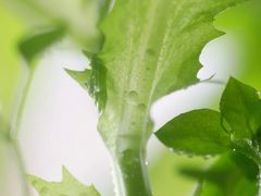 -来伊份(星湖街店)