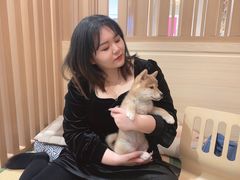 -柴犬小屋·柴餐厅·狗咖食堂(金鼎广场店)
