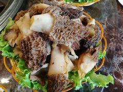-菌海森林·非遗野生菌火锅(西山区滇池路摩根道店)