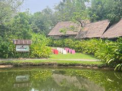 -大象粑粑造纸公园