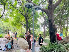 -成都市活水公园