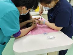 -北京观赏动物医院·24小时大型综合·猫专科·异宠专科