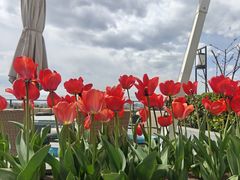 -王府井文华东方酒店-紫膳餐厅