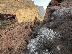 -黄崖洞文化旅游区