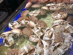 -诱货海鲜自助火锅(爱琴海购物公园东百店)