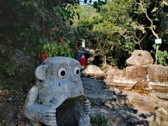 -东莞市大岭山森林公园
