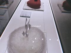 -BLACKSWAN黑天鹅(环球店)