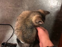 -时光转角咖啡馆(西康路店)