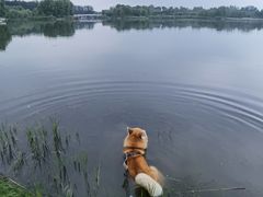 -马家湾湿地公园