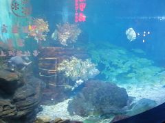 -烟台海昌鲸鲨海洋公园