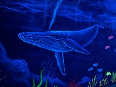 -福州罗源湾海洋世界旅游区