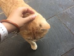 -炊烟餐厅
