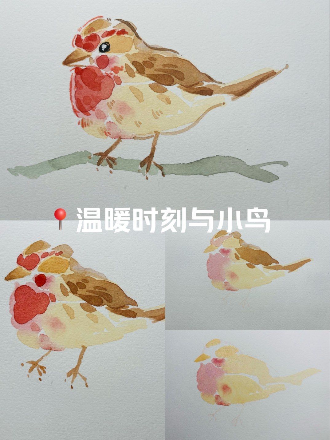 我的随手画 | 水彩小鸟