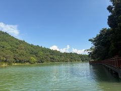 -广州白江湖森林公园