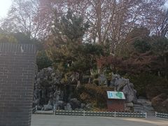 -菊花台公园