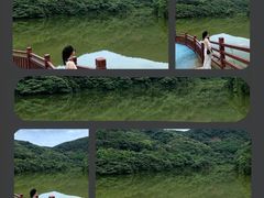 -黄埔油麻山森林公园