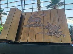 -郑州新郑国际机场-T2航站楼