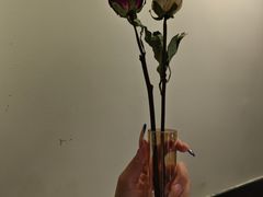 -芳草地西式融合餐厅(回龙窝店)