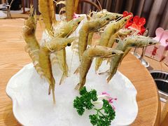深水虾-尚海豆捞(乐虹坊店)