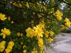 -万达影城(锦华万达广场IMAX店)