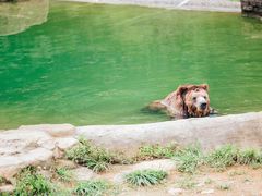-杭州野生动物世界