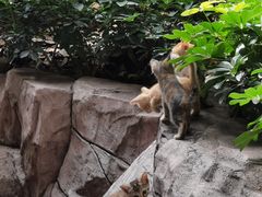 -晓港公园