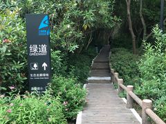 -新江湾城公园