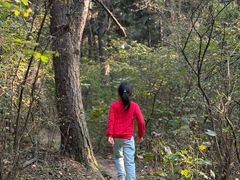 -沈阳辉山风景区