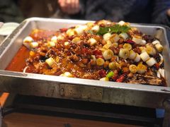 -锦尚阁烤鱼(望京新荟城店)