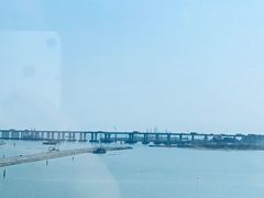 -宝安西湾红树林湿地公园