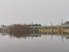 -白鹭湾湿地公园