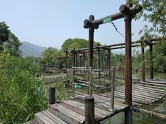 -长兴太湖图影湿地文化园