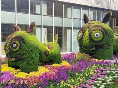 -湖北中医药大学(昙华林校区)
