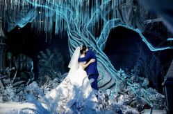 -华东饭店·园林式婚礼宴会厅酒店