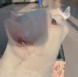 -慕拉美甲美睫皮肤管理
