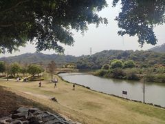 -风云岭森林公园