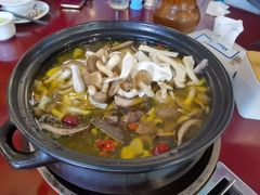 -蘑统田下·野生菌火锅