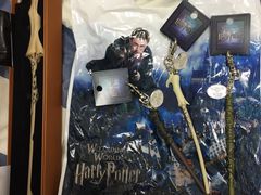 -哈利波特魔法世界