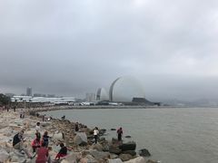 -野狸岛