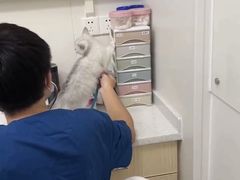 -爱诺耐芙动物医院(万博店)