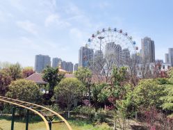 -海宁大脚板乐园