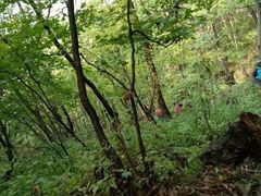 -五女山景区