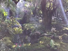 -Chom Cafe and Restaurant