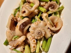 -波螺油子·海肠捞饭·青岛菜(银座店)
