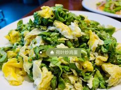 -铁锅炖灶台鱼老三炖鱼馆